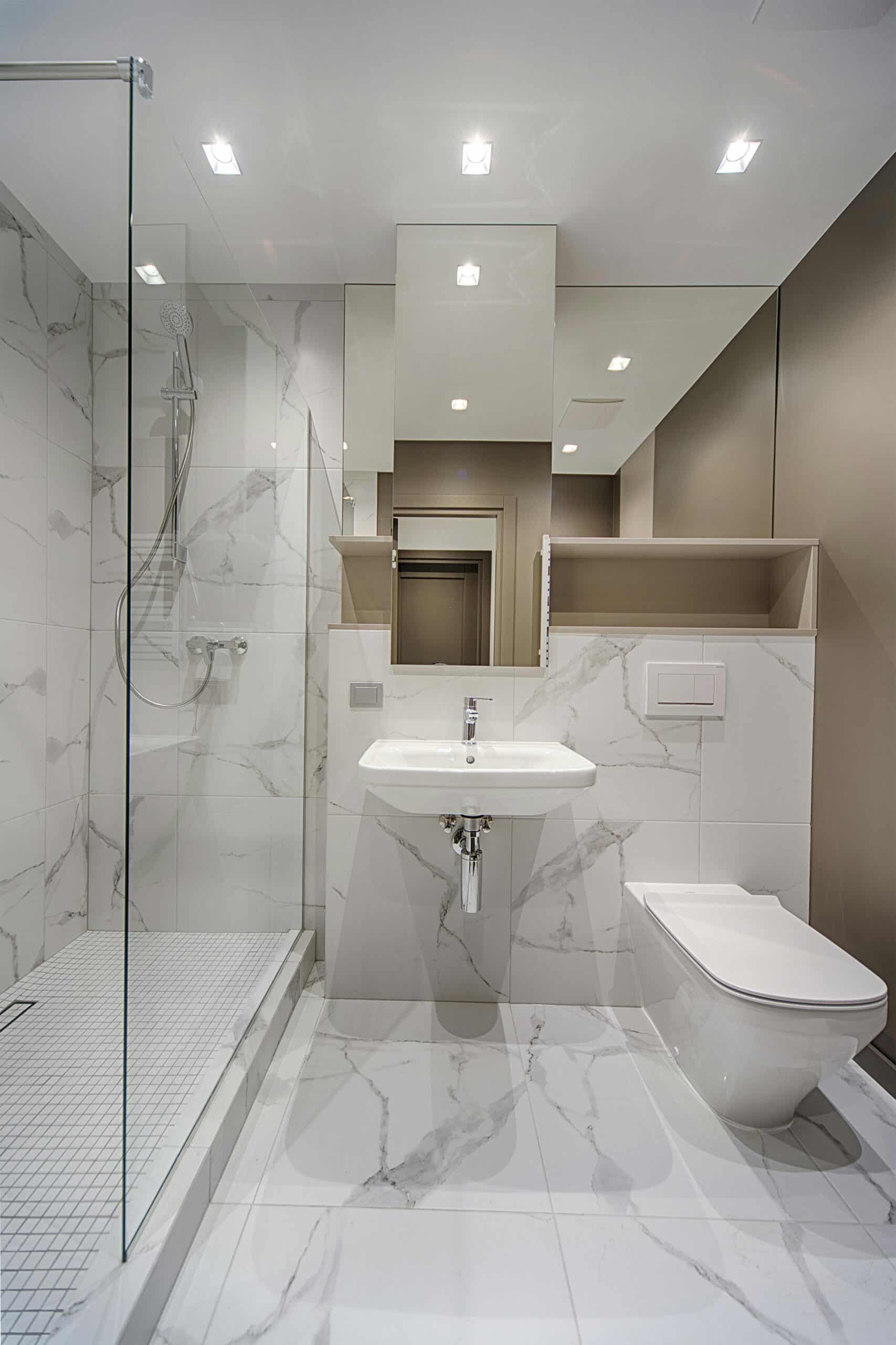 Tub-to-Shower Conversion Bathroom Remodel